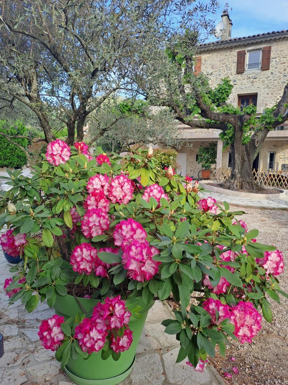 Appartamento Les Magnolias Aubenas Esterno foto