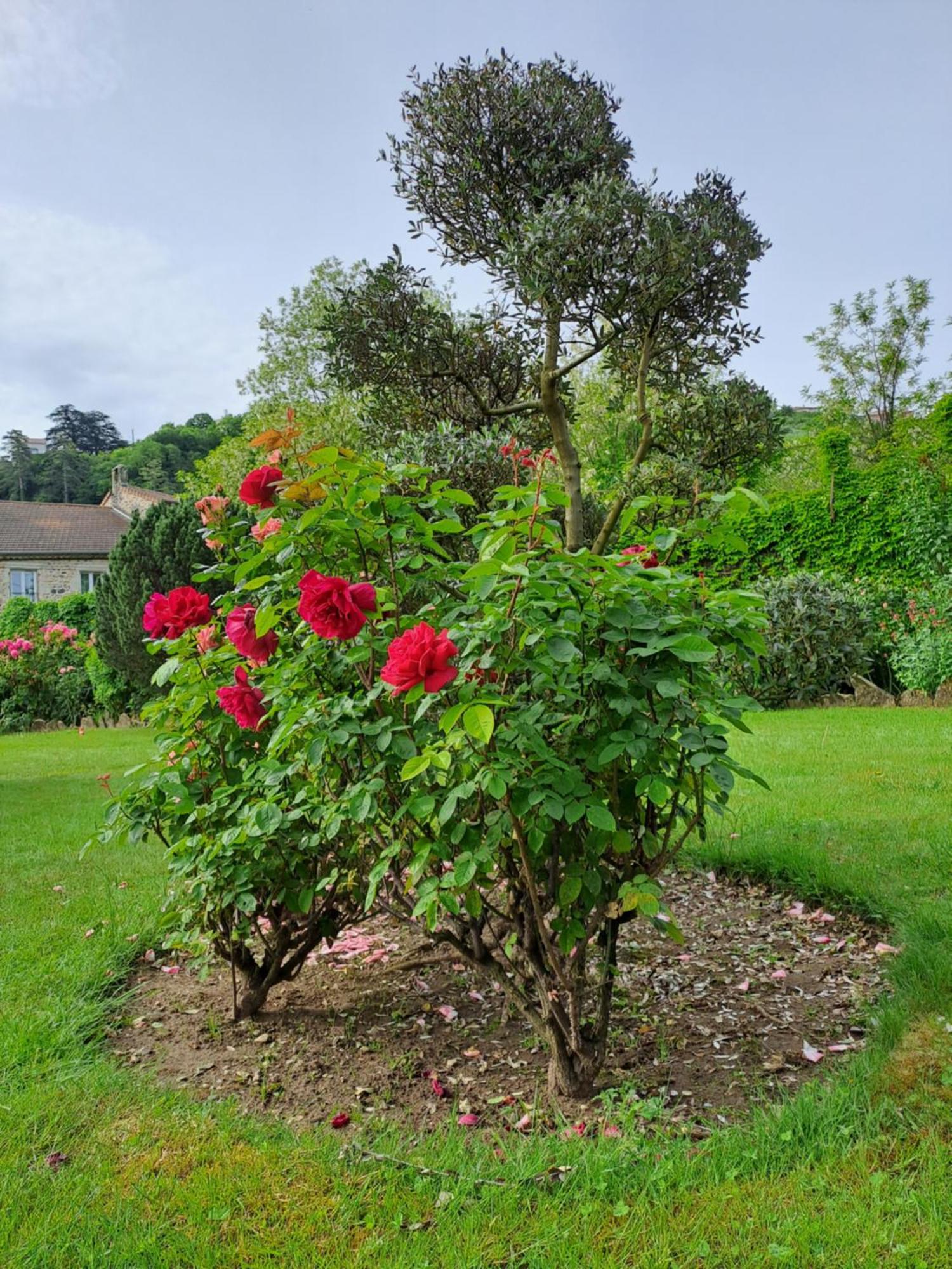 Appartamento Les Magnolias Aubenas Esterno foto
