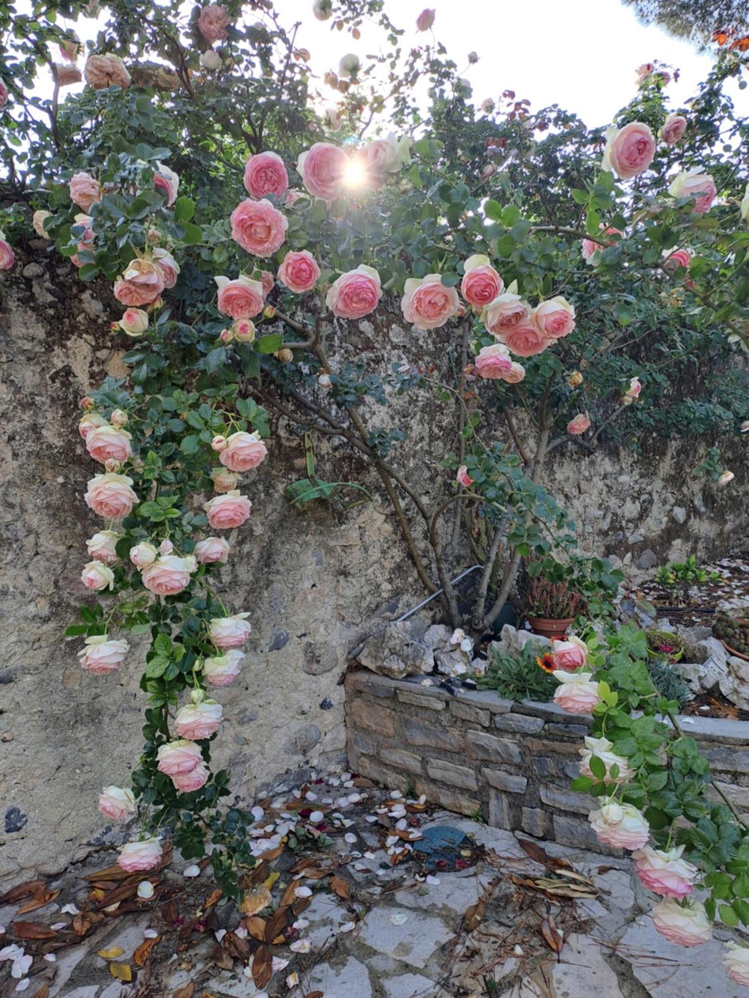 Appartamento Les Magnolias Aubenas Esterno foto